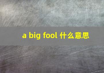 a big fool 什么意思